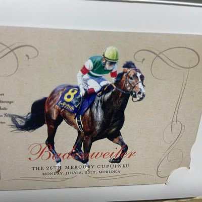 Dirthorseclub's profile picture. よく使う路線は武蔵野線です🐴キャロットクラブ🥕 現役馬 ヴィントシュティレ マルチャレアル リンゲルブルーメ エデルクローネ　トレインザマインド ヴィルナタール マルシュボヌール　シンハライトの2024