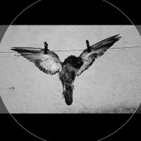 دراکولای بازنشسته (@retiredvampire7) 's Twitter Profile