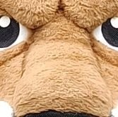 boopdoop_'s profile picture. 