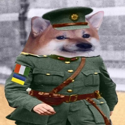 crosairex's profile picture. Forever supporting Ukraine 🇮🇪 🇺🇦 I oppose ruZZia and their Sinn Fein sycophants. #NAFOfella Irish Battalion #StandWithUkraine #NAFO #TeamYuri