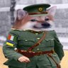 crosairex's profile picture. Forever supporting Ukraine 🇮🇪 🇺🇦 I oppose ruZZia and their Sinn Fein sycophants. #NAFOfella Irish Battalion #StandWithUkraine #NAFO #TeamYuri