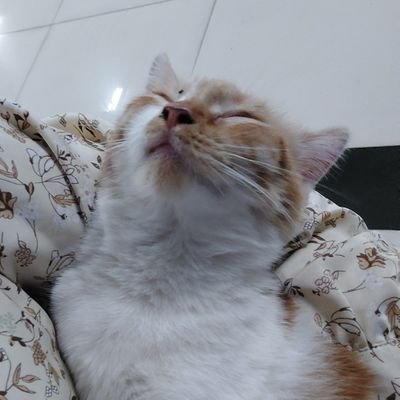 Priyanty Nurul Fatimah