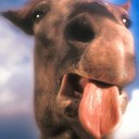 Nunya Beezwax - @Meagan27Larson - Twitter