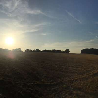 JessAustin85's profile picture. 