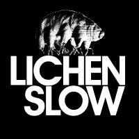 Lichen Slow(@LichenSlow) 's Twitter Profileg