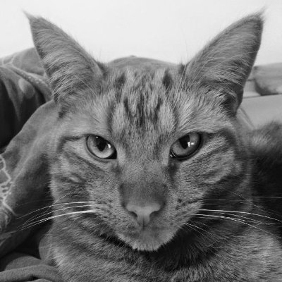 liammustapha's profile picture. Radio geek. Broadcast engineer. Fuzzball. Easily impressed.

Not on Twitter much anymore.