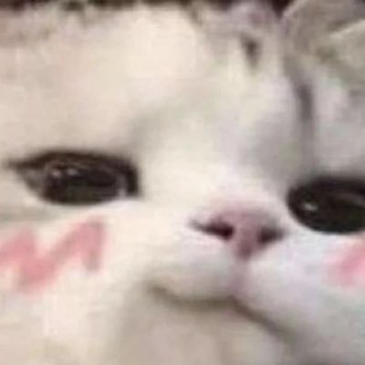 hacksource2020's profile picture. Smellbob enthusiast