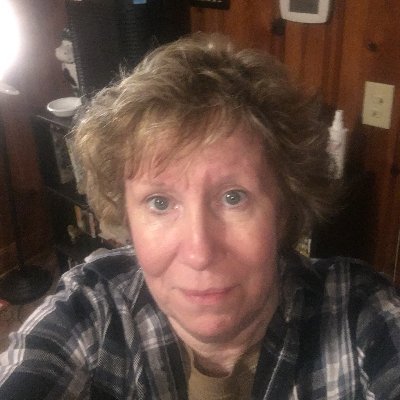 CaseyandHerCats's profile picture. 