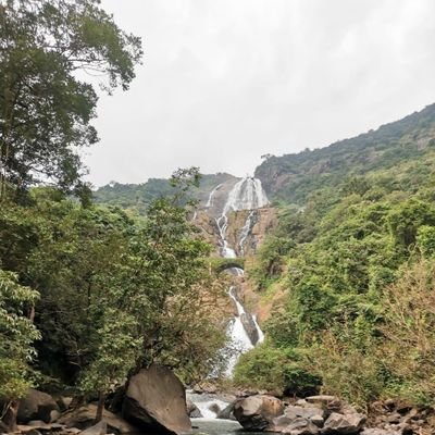 Suneetha Profile