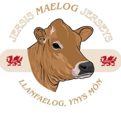 🏴󠁧󠁢󠁷󠁬󠁳󠁿 Family Dairy based on Anglesey, Milking a herd of pedigree Jersey cows through a voluntary milking system. Passionate about Food & animal welfare