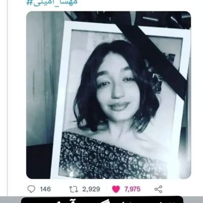 MasseyDashti's profile picture. 