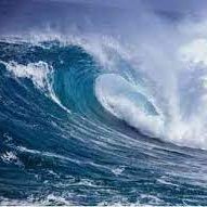 NoviceLearner4's profile picture. Swing Trader | Long Term Investor | ETF buyer | Technical Analysis | Working for Financial Freedom | Views are personal | Not a recommendation