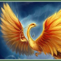 Phoenix Spring (@phoenixspring2) 's Twitter Profile