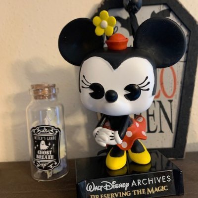 New obsession is Disney Dreamlight Valley.  Love to play VR and video games.  Am totally obsessed with my collection of Funko Pops, especially Disney/Rock Pops!