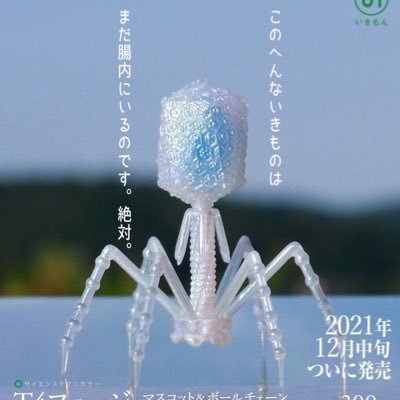 skgod_'s profile picture. どうぞよろしく