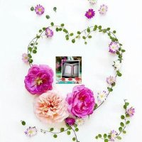 الخالة فضيلة 💞جدة رهف 💞 (@fadila_farhouh) 's Twitter Profile
