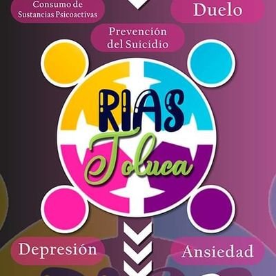 Red institucional de apoyo socioemocional RIAS Toluca