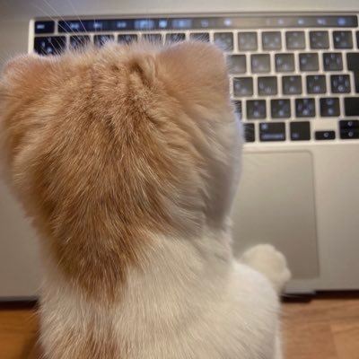 乾燥アトピーの人🧐 IgE3500→7000に悪化した為2022.7月〜デュピクセントを開始しました。新薬などの情報共有がしたくてアカウントを作りました✨猫アレルギーだけど猫大好き🐈❤