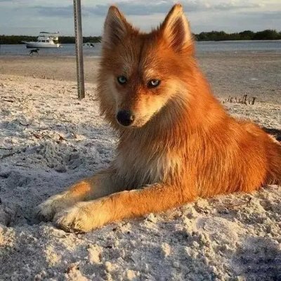 AugustWoodv's profile picture. I will be strong enough to make you feel bad 🥓