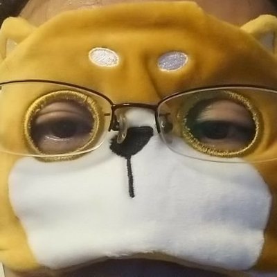 やんちぃ★2点おまとめ割引＆フォロー割引 VPS割引きっぷの更新について｜ConoHa for Windows Serverサポート