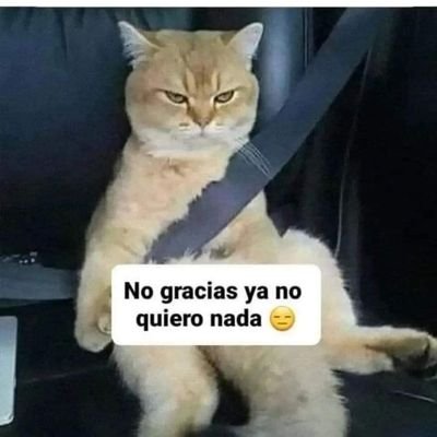 sarasweety2025's profile picture. hola