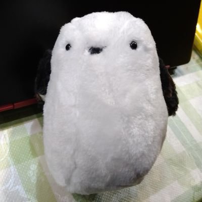 かぱらさんのプロフィール画像