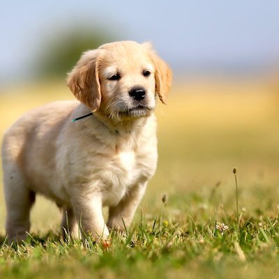 xenajada56's profile picture. Independent/Conservative