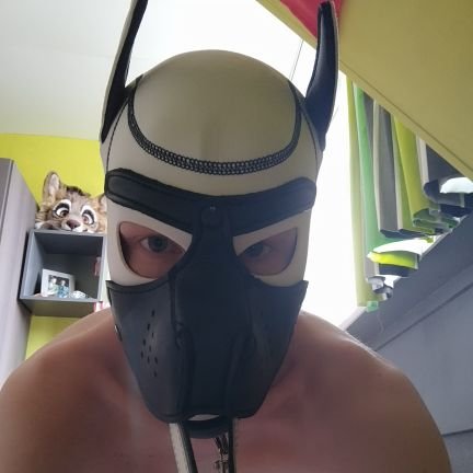 I'm a 23 year old puppy from the Netherlands | horny and wholesome |
Anything in my likes is my horny smutt 😇😇😇 |
🔞🇳🇱🇳🇱🔞