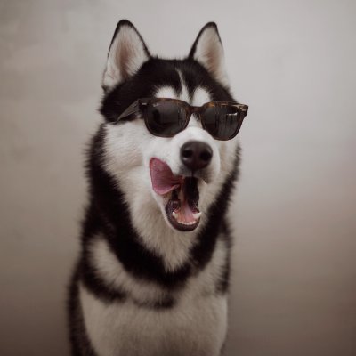 MaaraLucy's profile picture. good boy