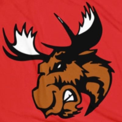 Monticello Moose Bantam A Team