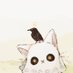 𝓅𝑎𝑛𝒾🗝⊹⁺₊ (@panibiscuit) Twitter profile photo 𝓅𝑎𝑛𝒾🗝⊹⁺₊ (@panibiscuit) Twitter profile photo