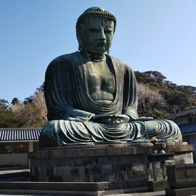 haromuroha's profile picture. アラサー丸坊主おばけ 100億年LOVE