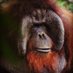 Jackiefoxmandad (@jackiefoxmandad) Twitter profile photo Jackiefoxmandad (@jackiefoxmandad) Twitter profile photo