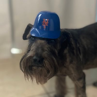 #LFGM 🧡💙