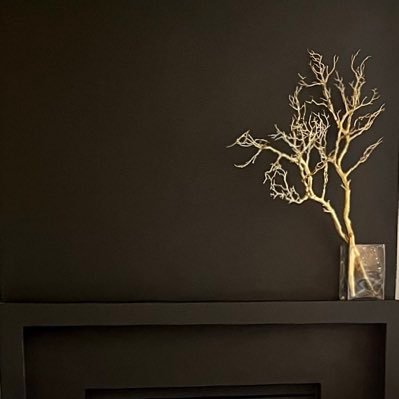 Registered Interior Designer | Interior Design educator