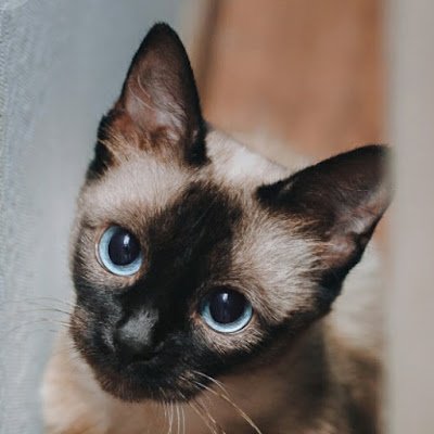 Saturda55280191's profile picture. 