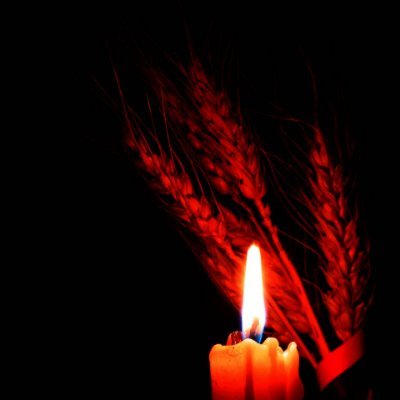 sashashtefan's profile picture. Книги до добра не доводят(с)