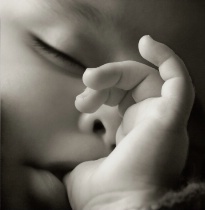 pratilovely's profile picture. 