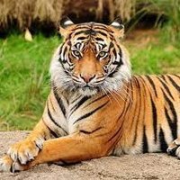 Carlos Fernandez Retamales (@espartiata369) 's Twitter Profile Photo Carlos Fernandez Retamales (@espartiata369) 's Twitter Profile Photo