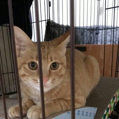 76H4K3cXW74tYs8's profile picture. 会社経営♂