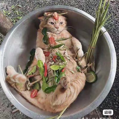 dngzxn5's profile picture. 