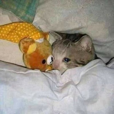 NayeliYazmnSar1's profile picture. 