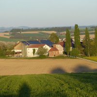 Neikl (@wernerkriegl) Twitter profile photo