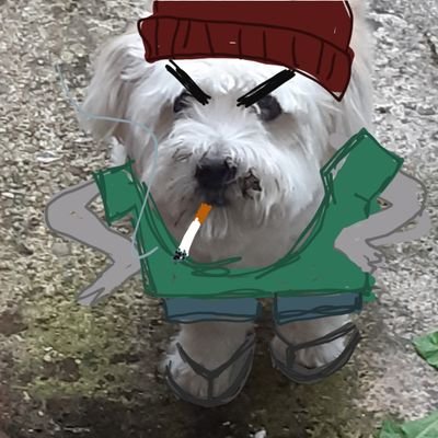 PigeonChickpea's profile picture. fanpage for my wife idk what to tell you. also i make stuff (PLUSH COMMISSIONS OPEN)      ☝🏻😗