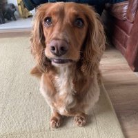 aliraff1111 (@aliraff11111) 's Twitter Profile Photo