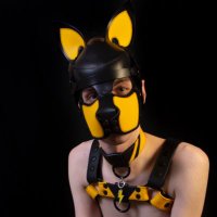Pup Voltzy ⚡️🐾 (@pupvoltzy) 's Twitter Profile