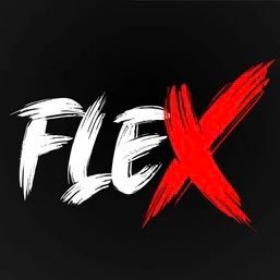 FLEX47_