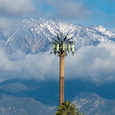 KnoxTechHQ Profile