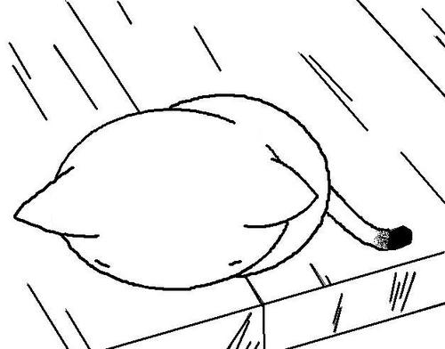 もう見る専用アカ