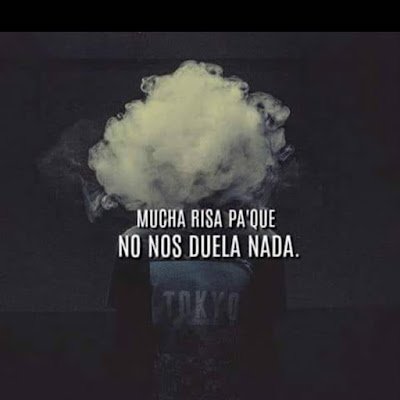 OsoAlvarez13's profile picture. 